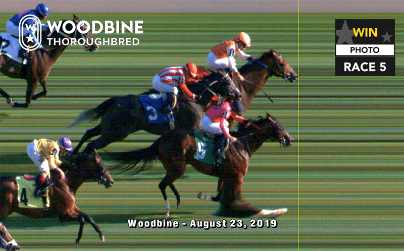 Woodbine August 23, 2019