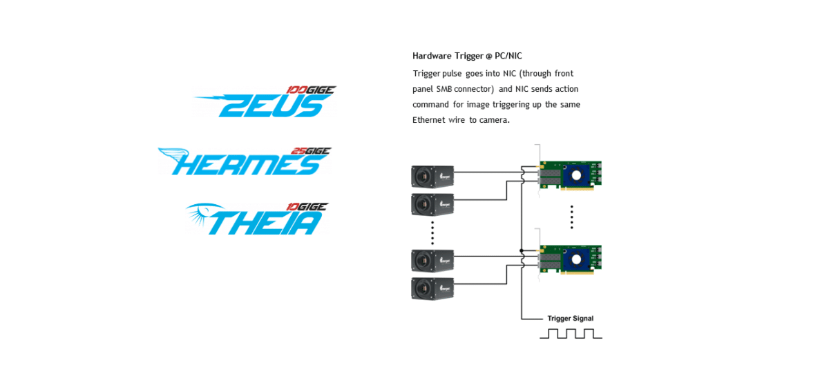 Network Interface Cards