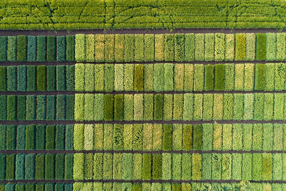applications aerial,image,of,agricultural,test,plots,with,different,sorts,of