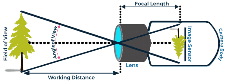 Machine vision camera working distance and field of view