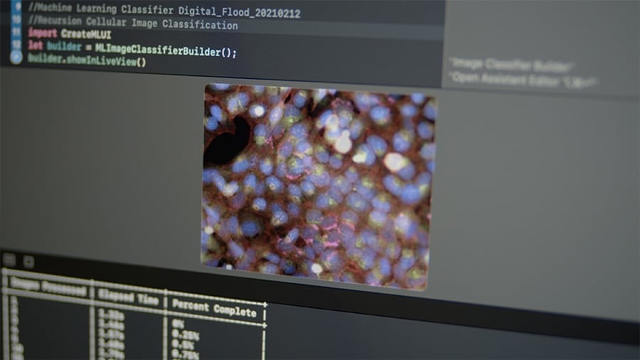 Das eSDK Pro Software Development Kit unterstützt Bildverarbeitungsanwendungen in den Bereichen Computer Vision, Deep Learning, KI und maschinelles Lernen.