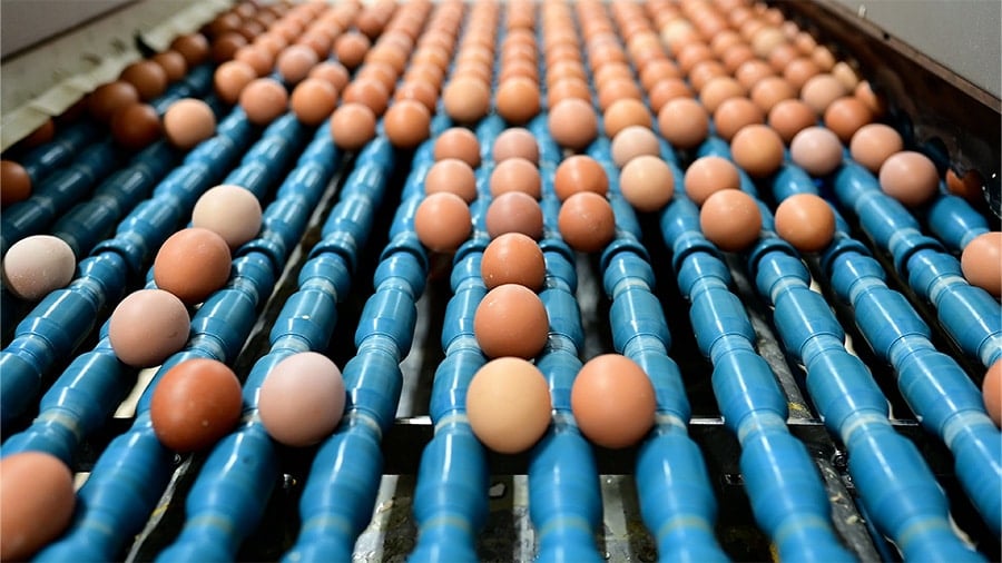 Das eSDK Pro Software Development Kit unterstützt Automatisierungs- und Inspektionsanwendungen im Bereich der Bildverarbeitung.