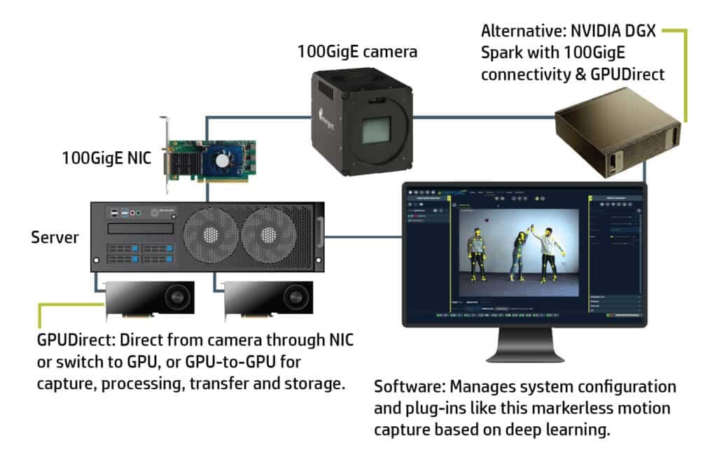 Diagram showing the connection from a 100GigE camera through a 100GigE NIC, server and software output.