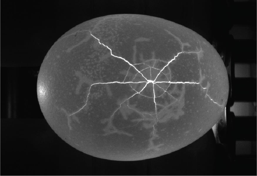 Multiple Emergent 10GigE HR cameras capture the egg from every angle to determine if it passes or fails the inspection.